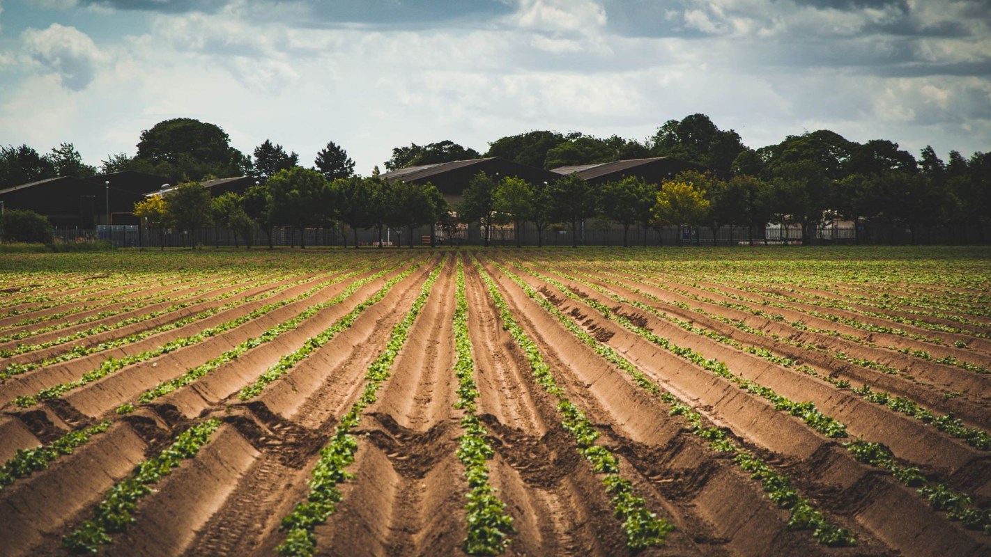 Government officials have warned in a new report that biodiversity loss and ecosystem collapse are posing a national security threat to the United Kingdom.