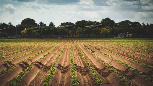 Government officials have warned in a new report that biodiversity loss and ecosystem collapse are posing a national security threat to the United Kingdom.