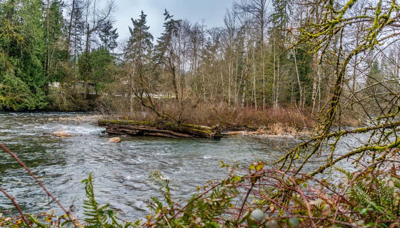 The Lower Peshastin Creek Restoration Project in Washington state cleaned up contamination, reconnected the creek to its historical channel, and improved vital habitat.