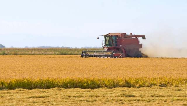 Farmers in the Mississippi Delta are dealing with a nightmarish 2025 with an unsolvable problem — too much rice.