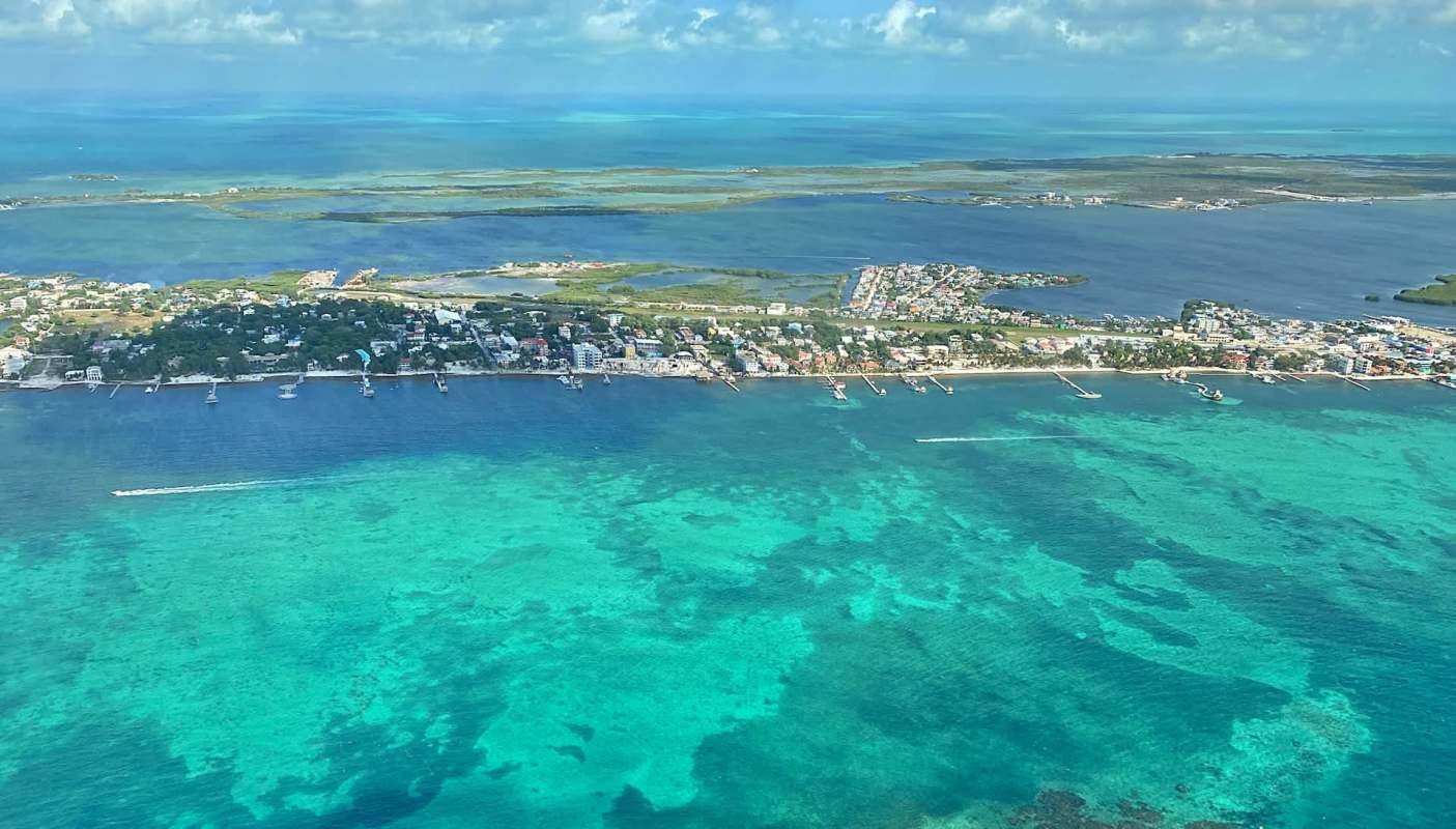 A new study reported by Mongabay found that Nassau grouper's spawning gatherings in Belize are nearing collapse.