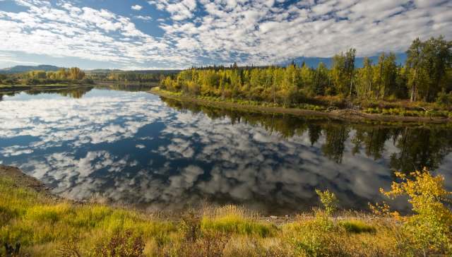 The Nechako River provides crucial habitat for many fish species. Now, thanks to a local group of volunteers, that habitat will be safer.