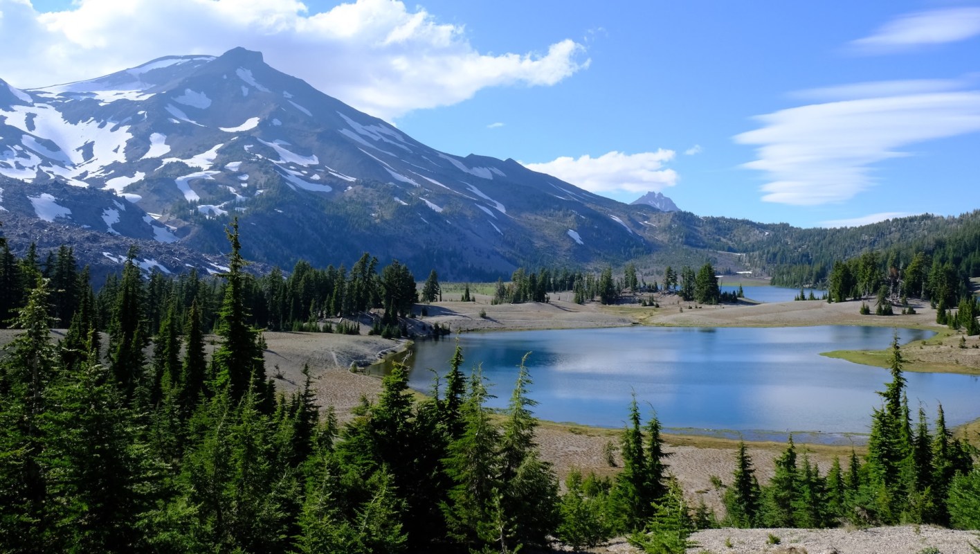 Oregon spotted frogs are a threatened species, but recent surveys in the Upper Deschutes Basin showed that their numbers are generally up.