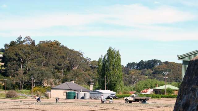 When the heat was a major worry for farmers in Ouyen, Australia, it's a reminder of extreme weather's impact on agriculture.
