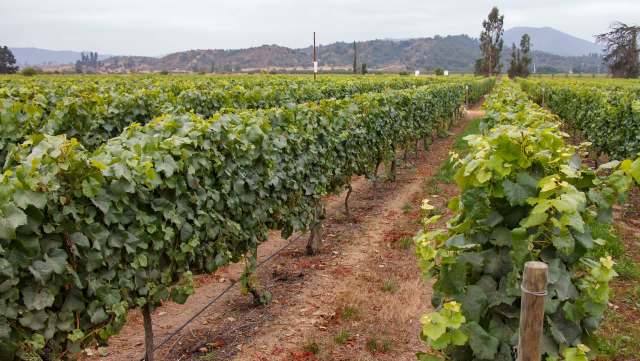 New research out of California has revealed troubling data about PFAS, also known as "forever chemicals," being deliberately applied to some of the state's most important food crops.