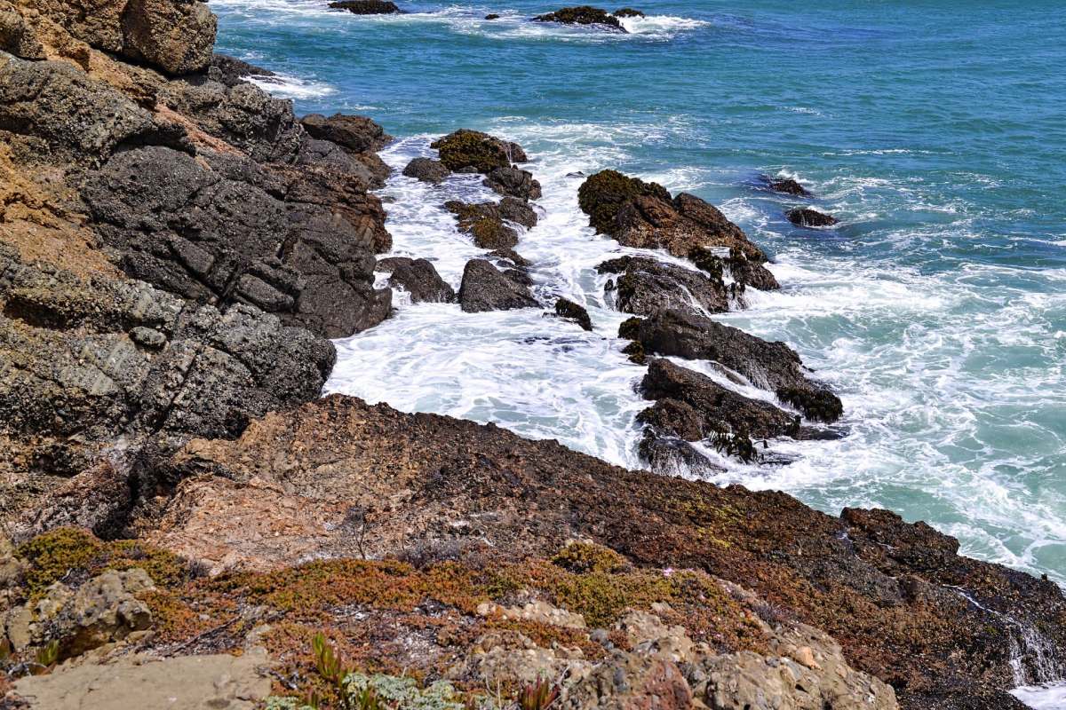 Park rangers at Point Reyes National Seashore are seeking the public's help to identify the pair who abused a massive elephant seal.