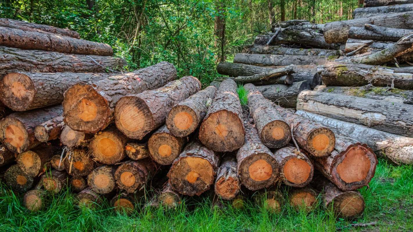 Queensland park rangers are fed up with some increasingly bad behavior — and they're warning that anyone breaking the rules will be hit with fines.