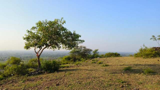 The Sikharchandi hilltop in the city of Bhubaneswar was closed to visitors after two elephants were spotted in the area.