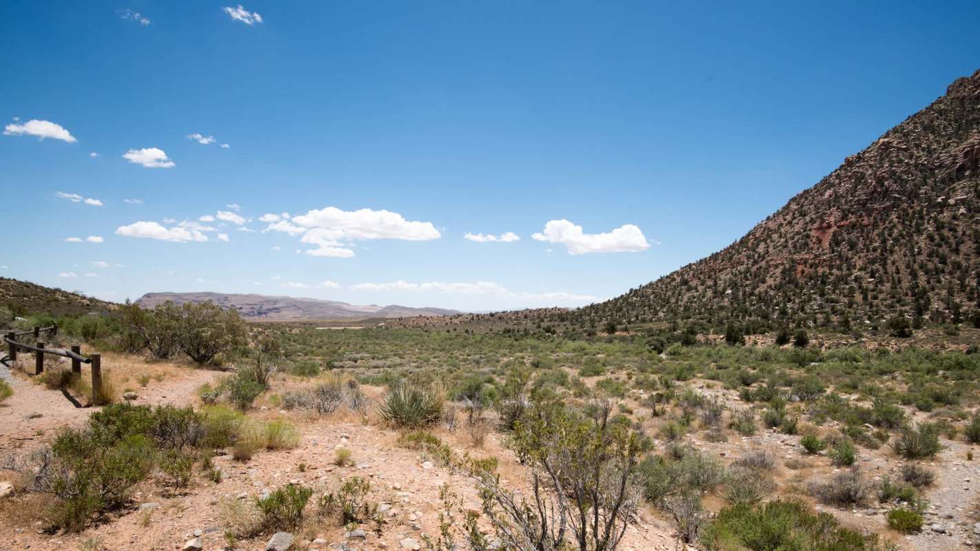 Storey County, Nevada, is at the center of a modern "gold rush" driven by artificial intelligence.