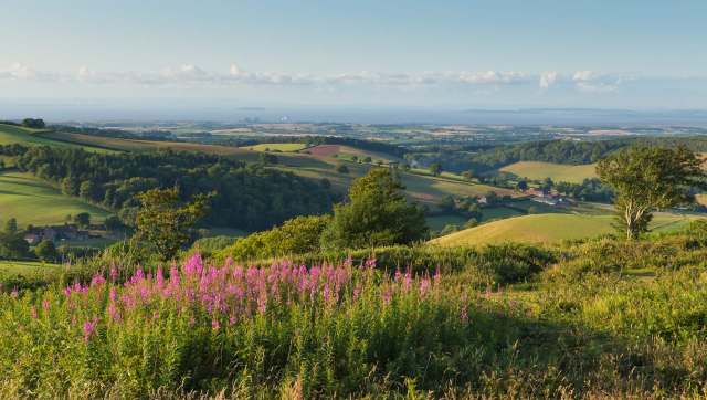 The Strawberry Line nature reserve is being built in rural Somerset, providing a traffic-free greenway and serene views for visitors.