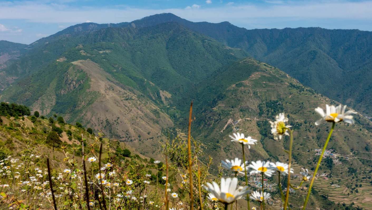 Officials observed promising wildlife movement in the Sukhna Wildlife Sanctuary, signaling a thriving ecosystem.