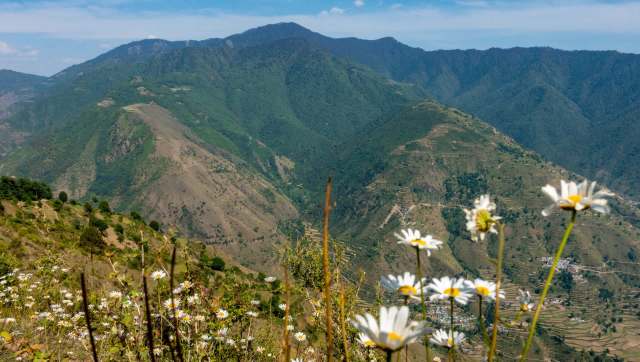 Officials observed promising wildlife movement in the Sukhna Wildlife Sanctuary, signaling a thriving ecosystem.