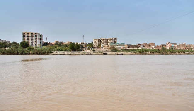 An Amazon sailfin catfish was found in a pond near Sukkor, Pakistan, raising alarms about invasive species.