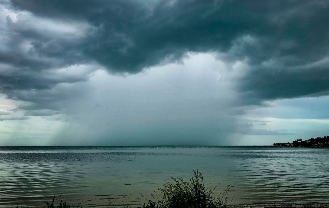 The city of Tampa, Florida, is dealing with a particularly dry start to 2026, with surrounding regions in a severe drought.