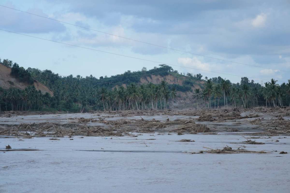 A severe weather event in Indonesia has decimated the population of critically endangered Tapanuli orangutans.