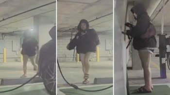 A Tesla owner took to Reddit to vent after their vehicle's cameras captured a woman stealing a key charging accessory.