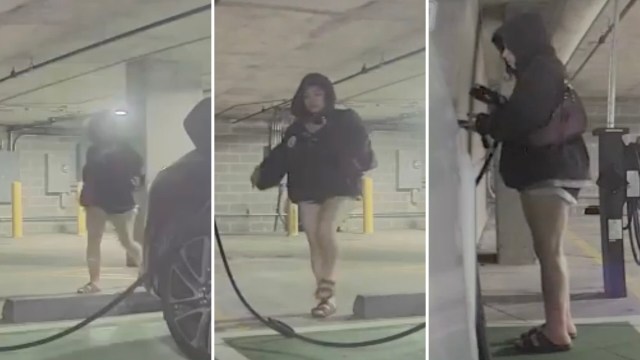 A Tesla owner took to Reddit to vent after their vehicle's cameras captured a woman stealing a key charging accessory.