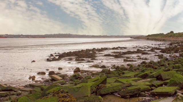 The River Thames, which passes through South London, has seen a loss of biodiversity since the twentieth century, losing as much as 95% of its native oysters.