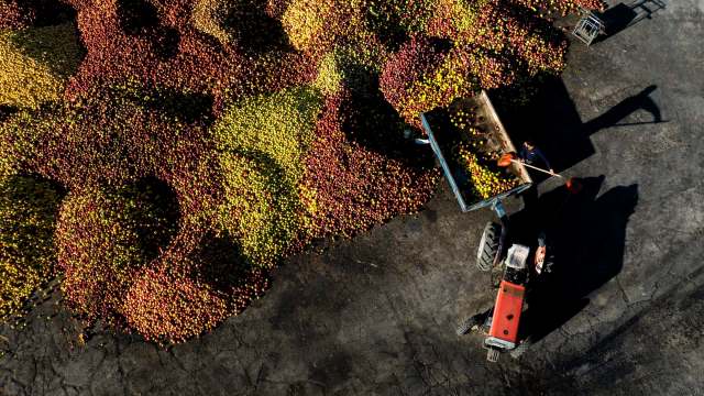 The Turkish apple industry is experiencing tough times following challenging weather for growers.