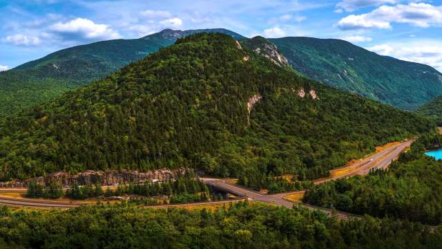 A federal judge ruled that an exemption used by the U.S. Forest Service, that allowed it to clear-cut forests, was improperly applied.
