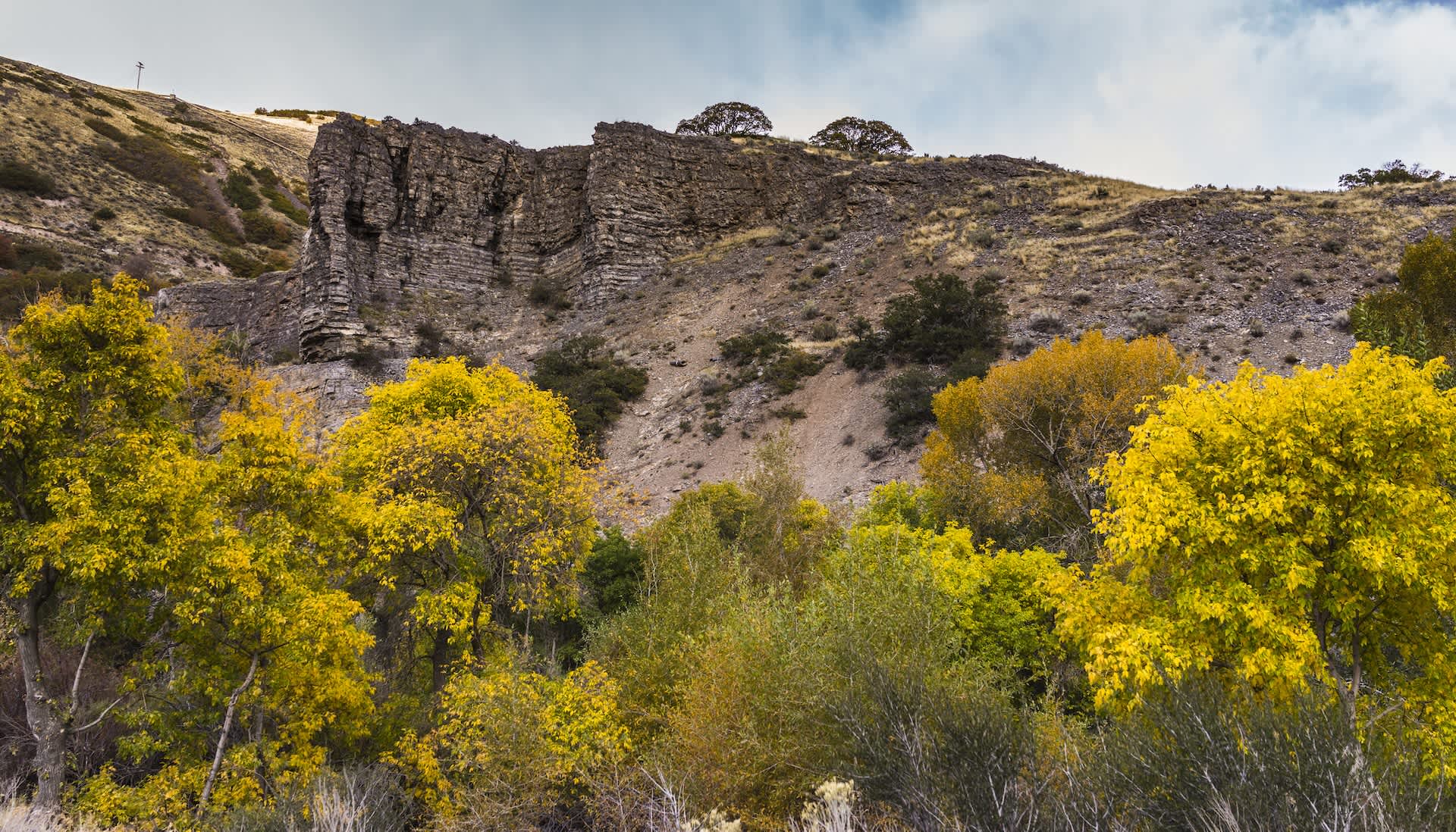 Officials celebrate major milestone in restoration of large patch of land: 'These efforts are vital'