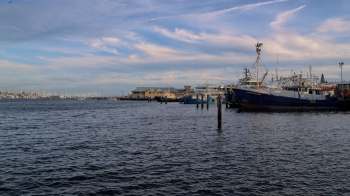 Officials in Western Australia have imposed fishery restrictions to protect vulnerable species.