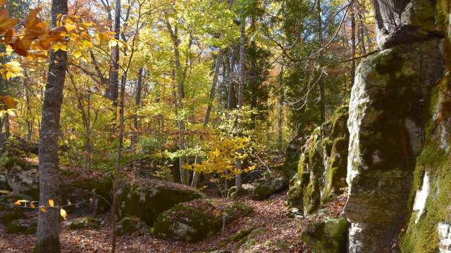 One homeowner was amazed to discover a hidden rock formation on their property on Washington Island in Wisconsin.