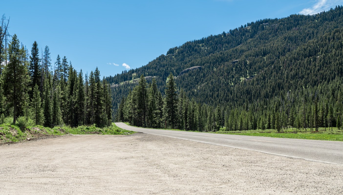 A video showed tourists parked and standing way too close to a bison at Yellowstone National Park.