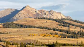 A viral video showed a group of tourists blatantly disregarding the rules at Yellowstone National Park.