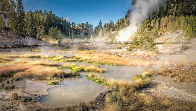 One Facebook user shared images of a couple of tourists breaking off trail at Yellowstone National Park to the Facebook group 'Yellowstone National Park: Invasion of The Idiots™!'