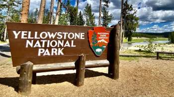 A photo of tourists dangerously close to a grizzly bear in Yellowstone National Park has sparked fury.