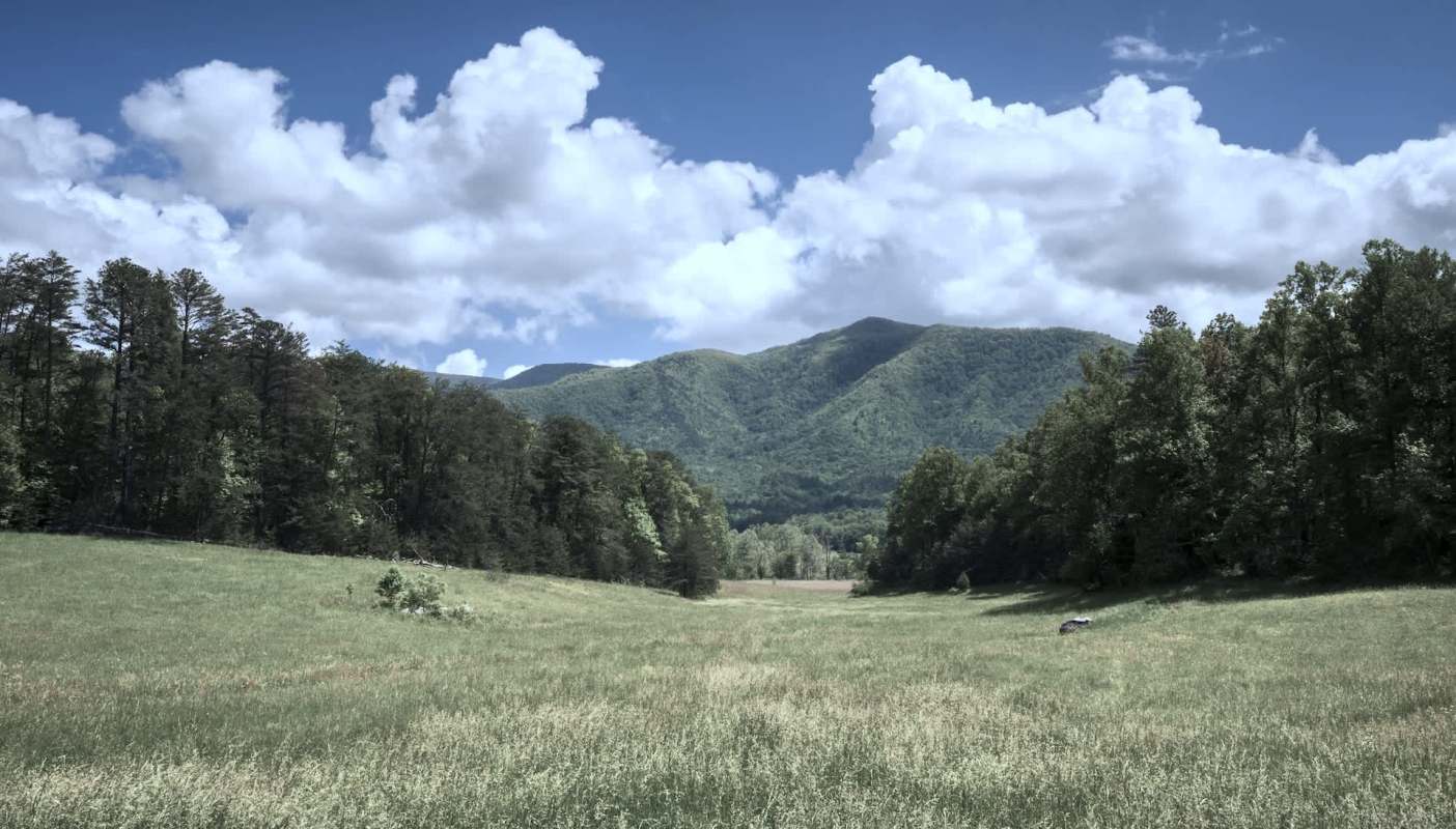 While Yellowstone National Park is a popular tourist destination, some revelers chose to act foolishly. A picture of visitors too close to elk has stirred outrage online.