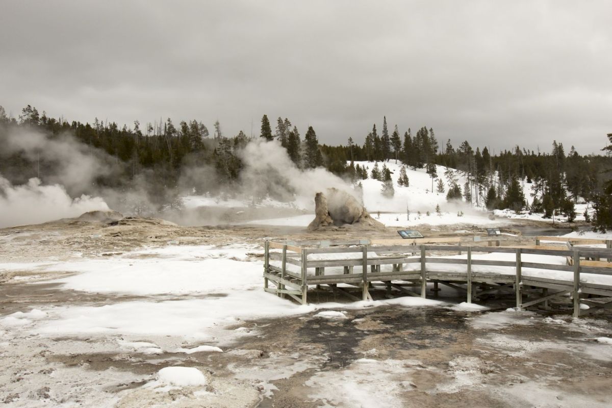 One Redditor's shared a frustrating experience witnessing an entitled tourist disrespecting Yellowstone and Old Faithful.