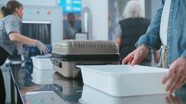 Malaysian authorities stopped a woman attempting to smuggle two small apes into India through Kuala Lumpur International Airport.