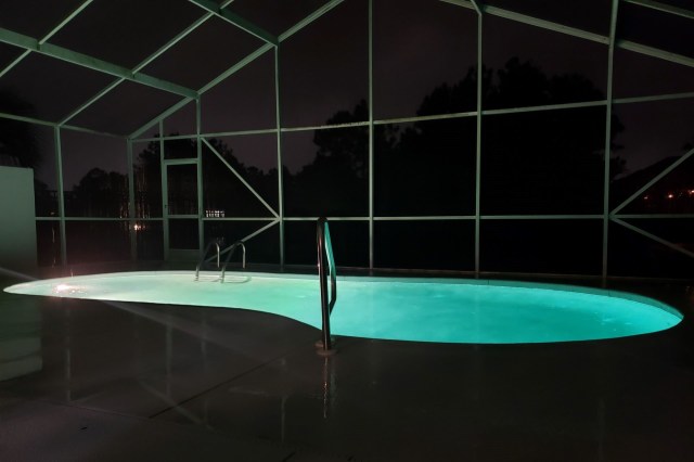 One Florida man found a nearly eight-foot alligator in his pool and took swift action to get it out.