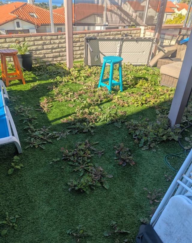 One Redditor shared their family's experience with artificial turf and their accompanying frustrations.
