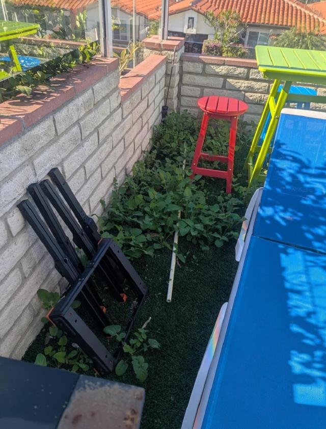 One Redditor shared their family's experience with artificial turf and their accompanying frustrations.