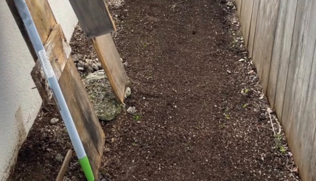 One homeowner shared the incredible benefits of transforming the side of her yard into a thriving garden.