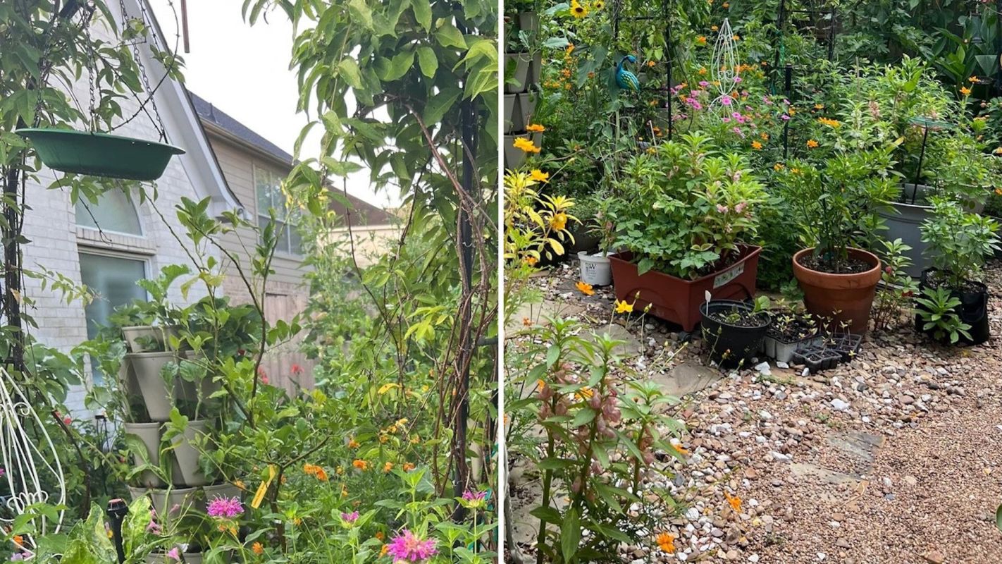 One Redditor shared photos of their stunning backyard garden — and the strategy they used to defy their controlling HOA.
