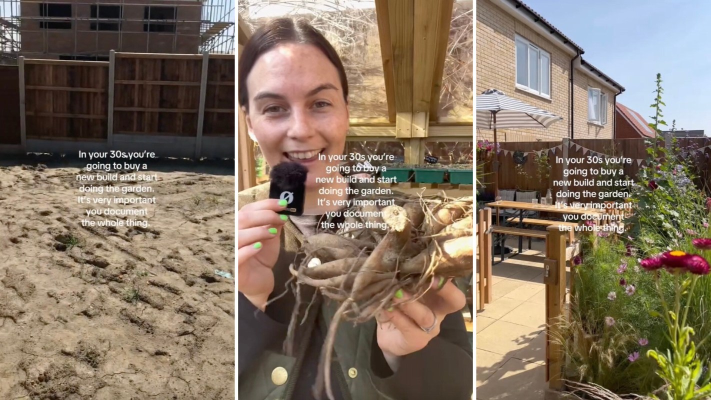 This TikTok video showcases a dramatic five-year backyard transformation, inspiring viewers to create their own native gardens.