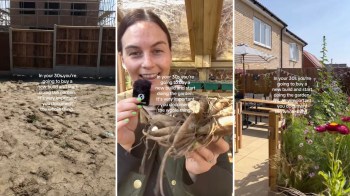 This TikTok video showcases a dramatic five-year backyard transformation, inspiring viewers to create their own native gardens.