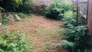 A homeowner shared an impressive backyard transformation on Reddit, revealing how they turned a neglected yard into a functional garden.