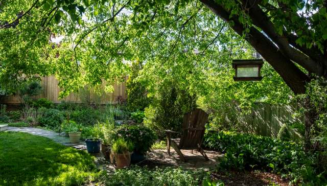 One very lucky TikTok user shared a video of a barred owl chilling in their backyard.