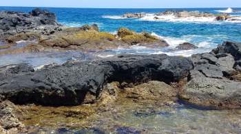 The frustrated TikToker uploaded a scene from a Hawaiian beach of visitors ignoring warning announcements and signs.