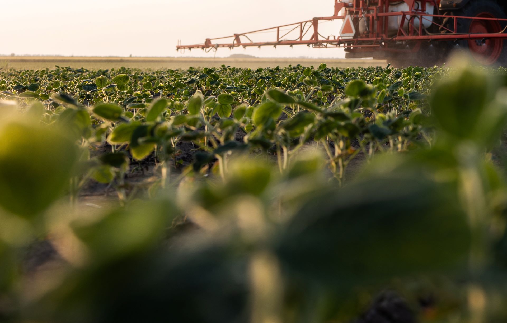 Scientists sound alarm over threat '99% of the American public' may not know about: 'We are facing a silent epidemic'