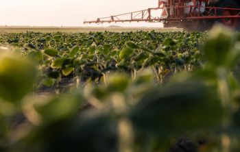 An international team of scientists is calling for an overhaul of how chemicals are tested and regulated.