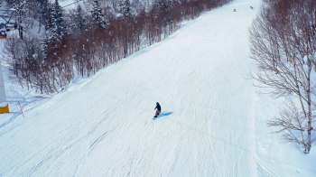 Bear encounters in Japan are on the rise, as bears are venturing into residential and commercial spaces where humans gather.