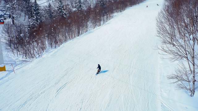 Bear encounters in Japan are on the rise, as bears are venturing into residential and commercial spaces where humans gather.