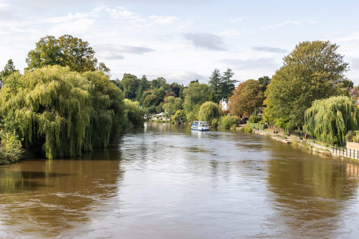 Conservationists in Shropshire, England, are celebrating the successful reintroduction of beavers that had been absent for 400 years.