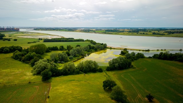 For local conservationists, the footage of a wild beaver offered a hopeful glimpse of wildlife returning to landscapes where it had once disappeared.
